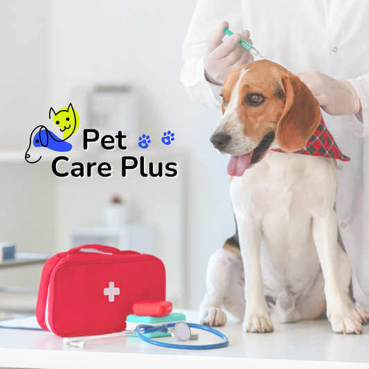 Pet Care Plus – Protección total para tu mascota